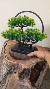 ต้นบอนไซพร้อมขาตั้งโต๊ะ หรูหรา สไตล์ญี่ปุ่น ขนาด 26cm x 27cm