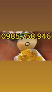 Máy cắt thái chanh cam hoa quả sấy khô.