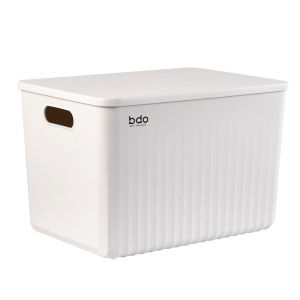 Plastic Storage Box for Living Room Clothes Toys Snacks Organizer Basket Closet Underbed Organizer Bin Nordic Style Home Use