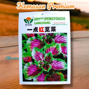 (KEMASAN PREMIUM) BIJI/BENIH BAYAM BATIK/LORENG