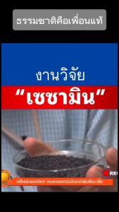 [ของแท้ จัดโปรโมชั่น ซื้อ 1 แถม 1] น้ำมันงาดำ Jamille Black Sesame Oil เซซามิน บรรเทาอาการของ ข้อเสื่อม เข่าเสื่อม ปวดเข่า ปวดกระดูก