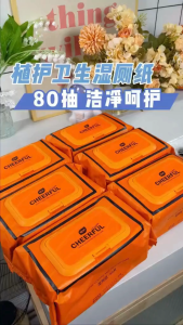 Botare Flushable Toilet Wipes | Flushable Toilet Tissue | Flushable Wet Tissue | Flushable Wipes | Wet Wipes 80 sheets