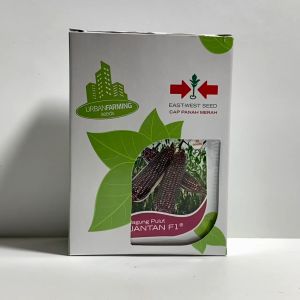 Benih Jagung Pulut JANTAN F1 Isi 30 Butir Cap Panah Merah