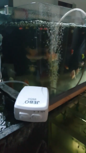 Pompa Udara JEBO 9950 AC DC USB 2 Lubang Aerator Portable Aquarium Kolam Hemat Daya by Zeng Aquatic