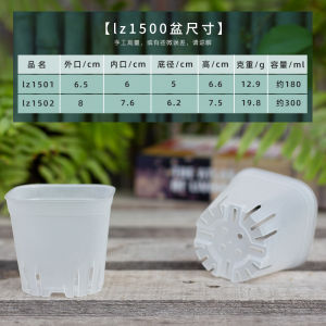 Minimalist New Style White Succulent Flower Pot Plastic Short Square Basin Small Mouth Mini Balcony Root-Controlling Seedling Planting Pot Thickened