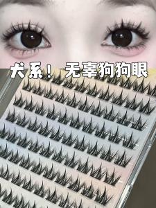 Beginner Friendly Natural Dog-style False Eyelashes 100 Clusters
