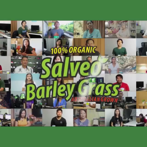 SALVEOWELL Salveo Barley Grass - On The Go 12pcs 3g per Sachet | BOOST your Health and Immunity For Kids and Adults