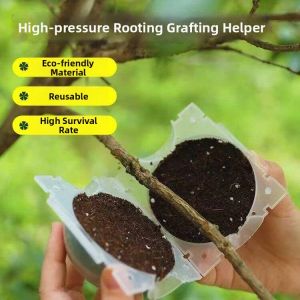 Grafting and Root Promoting Propagation Box