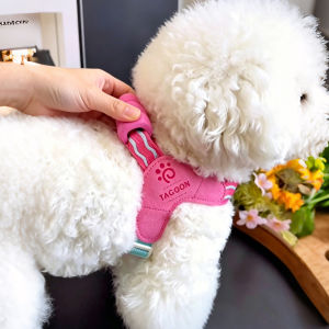 FENGCAO | Adjustable Escape-Prevention Vest Dog Harness for Small Dogs