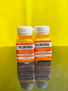 Hormon Pembuahan Luar Musim PACLOBUTRASOL dari Mitra Agro Sukses isi 60 ml