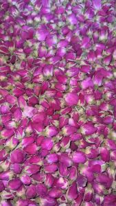 Nụ hoa hồng cao cấp Greenlab - Nguyên liệu trang trí