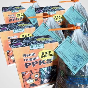 bibit sawit unggul ppks 239 isi 250 butir