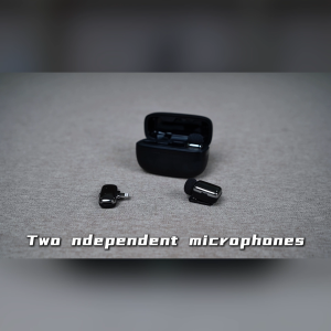 ZealSound M6 Mini Lapel Wireless Microphone for iPhone iPad Android Phone Type-C Live Broadcast Recording Vlog