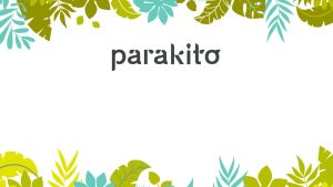 PARAKITO - ADULT WRISTBANDS GRAPHIC COLLECTION WATER RESISTANT NO SKIN CONTACT SAFED PRODUCT MADE IN FRANCE