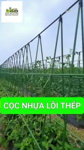 CỌC LÕI THÉP BỌC NHỰA LÀM GIÀN LEO CHỐNG ĐỠ CÂY