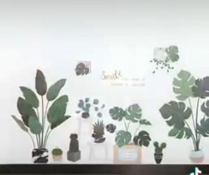 Decal dán tường tranh dán tường chậu cây xương rồng và chậu cây xanh trên kệ