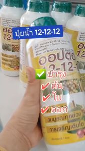 ความน่าสนใจ: สูตรเข้มข้น บำรุง ต้น ดอก ผล ขยายขนาดใบ ใบเขียว ใบหนา ใบดำมัน ลดการหลุ