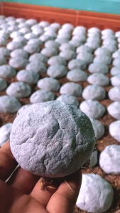 1kg men lá ủ cơm rượu truyền thống Lạng Sơn (tương ứng với 20 quả men)