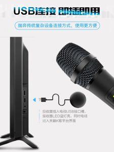 Teana Karaoke Double Wireless Microphone Suitable for Hisense TCL Haier Casarte TV Cool Dog USB Microphone