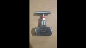 Adjustable needle valve 304 stainless steel female 1/2 inch