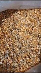 Jagung Campur 1kg: Pakan Makanan Burung Dara, Tekukur & Merpati