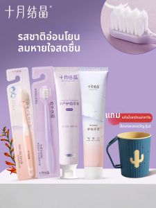 SHI YUE JIE JING | Postpartum Soft Toothbrush And Toothpaste Set Long Lasting Fresh Breath