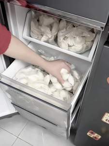 COOKER KING | Frozen Preservation Storage Box for Dumplings and Wontons