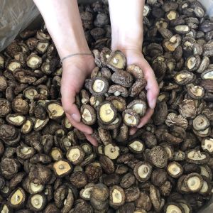 Dried shiitake mushrooms specialty mushrooms dried shiitake mushrooms 250g new and fresh mushrooms winter mushrooms local specialties and bulk mountain products