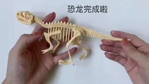 Bộ đồ chơi khảo cổ khám phá xương khủng long bọ cạp nhện hóa thạch động vật vòng đeo