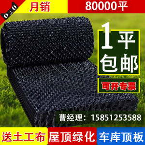 Roof Garden Vegetable Planting Roof Greening Water Storage and Drainage Board Drainer Plate Double-Sided Anti-Blocking Root Geotextile Hydrophobic Board