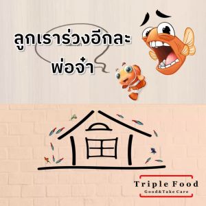 ไข่ไรนางฟ้า อาหารปลา Fish Food UHT อาหารลูกปลากัด อาหารลูกปลาแรกเกิด อาหารลูกปลา อนุบาลลูกปลา ทุกสายพันธุ์ ยังมี อาร์ทีเมีย ไรแดง ลูกน้ำ ใบหูกวาง ด่างทับทิม