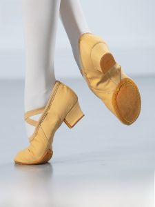 Professional Dance Shoes with Heel for Women Soft Bottom High Heel Canvas Upgraded Version of Summer 2019 Teacher Special