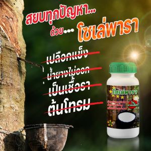 โซเล่พารา เซต 3ขวด น้ำแดงใสดูดซึมเร็ว เพิ่มน้ำยาง ต้นไม่โทรม ช่วย ป้องกันเชื้อรา