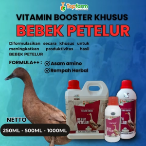 Vitamin Booster Bebek Petelur: Manfaat & Cara Penggunaan