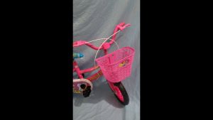 Sepeda Anak Perempuan 3 Tahun 12 Inch Barbie Mini Ban Busa