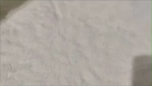 Mia Collection Necklace Choker & Earrings Set - Fashion Jewelry Elegant Accessories