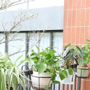 Black Metal Plant Rack Stand Hanging Pots For Plants Iron Indoor Flower Stand Outdoor Balcony Multifunctional Plant Rack Hanging Plant Pots