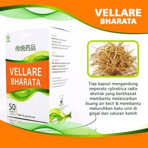 Obat Batu Ginjal & Batu Empedu Paling Ampuh Tanpa Operasi - Vellare Bharata Original Garansi 100% Asli