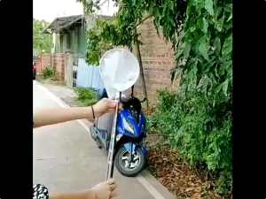 6 Meter Alat Petik Buah Tongkat Pemetik Buah Teleskopik Tiang Teleskopic Jaring Celup Pemetik Buah Alat Bantu Pengambil Buah