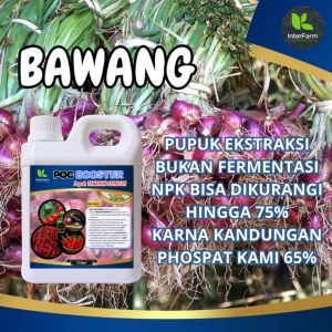 InterFarm Booster Fertilizer Organic untuk Bawang Merah dan Umbi - 1 Liter