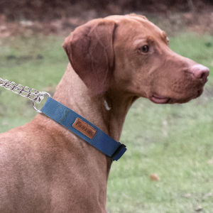 Mojioo ปลอกคอฝึกหัดสำหรับสุนัขที่มีน้ำหนักมากป้องกันการดึงคอโซ่โลหะสำหรับสุนัขขนาดกลางและใหญ่ปลอกคอพีเชนแบบปรับได้พร้อมการบุซับในนิ่มไนล่อนทนทานและสแตนเลสสตีล