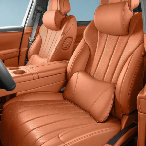 Stain Resistant Memory Foam Neck & Lumbar Pillows For Auto