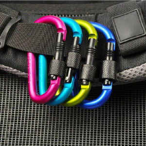 Outdoor Mountaineering Buckle Hook Quick Hanging D-type Aluminum Alloy With Lock Extra Hard Nut Key Chain Water Bottle Buckle