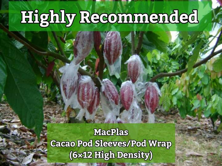 MacPlas Cacao Pod Sleeves Cacao Pod Wrap Macondray Plastic Products