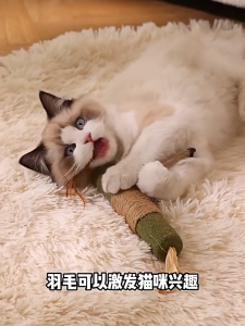 DEARYOYO Cat Catnip Sticks Jumbo Silvervine Teeth Cleaning Natural Kitten Sticks Toys Cat Molar Stick Cat Toy Self-Happy