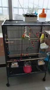 【COD】Bird cage budgerigar cage large starling cardinal bird black bird peony parrot color breeding cage L