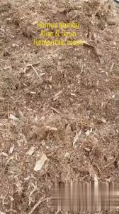 Media Tanam Organik Humus Daun Bambu Pupuk Tanaman Hias Steril Humus Bamboo Alami Kering Fermentasi