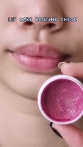 5 GR FELINZ LIP SCRUB MASKER BIBIR / PELEMBAB BIBIR