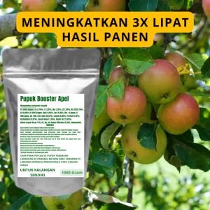 Pupuk Booster Apel Pelebat Organik Cepat Berbuah Lebat Besar Anti Rontok Pembesar Apel