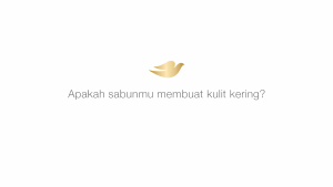 Sabun Mandi Dove | Vaselin | Soap Bar Series | Sabun Batang 75g